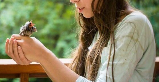 Українська народна педагогіка