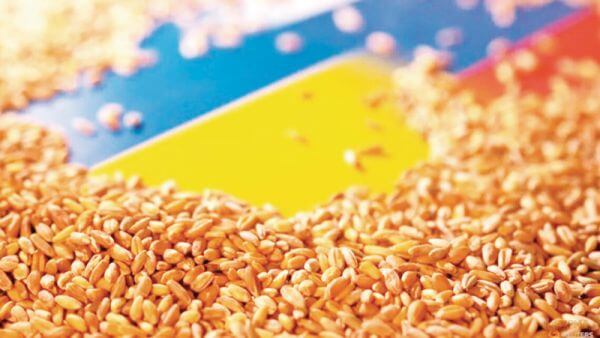 Війна росії проти України: внутрішня та світова продовольча безпеки