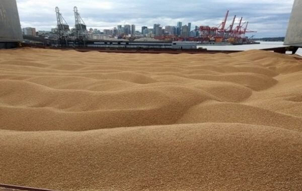 Спартц звернулася в ООН: «зернова угода» може дорого коштувати Україні