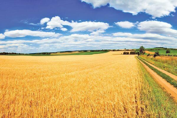 Моя знищена країна