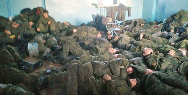 Не варто недооцінювати шкідників, особливо коли їх багато…