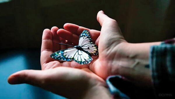 Психологічна грамотність: токсична допомога