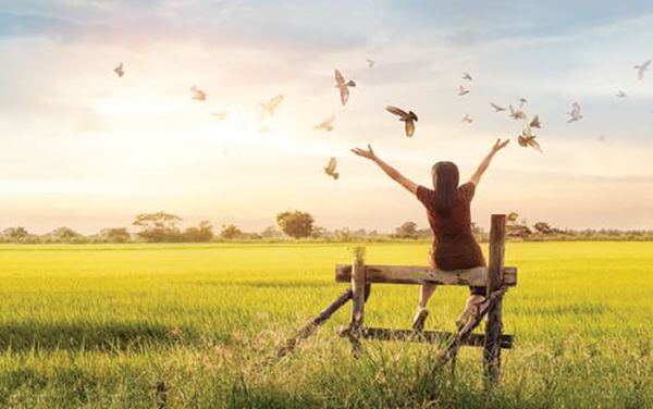 Підводні рифи контакту