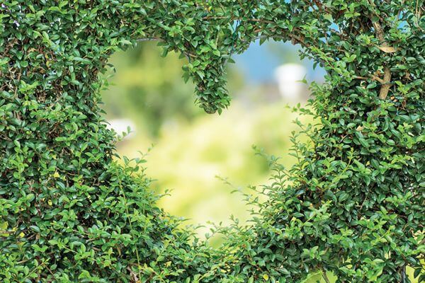 Неймовірні історії кохання