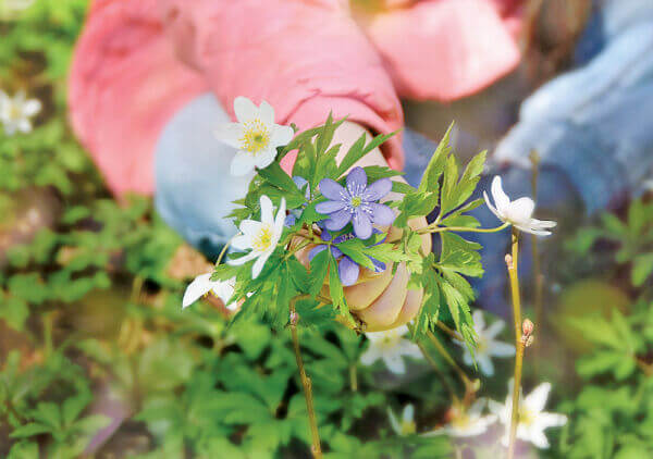 Плекайте щирість у душі