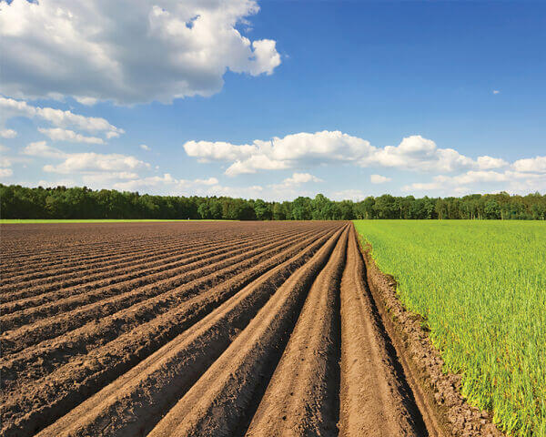 Модернізоване рабство
