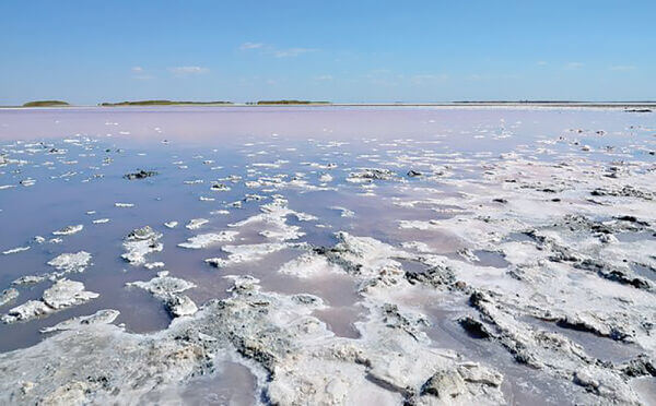 Феномени рекреаційно-туристичного комплексу України