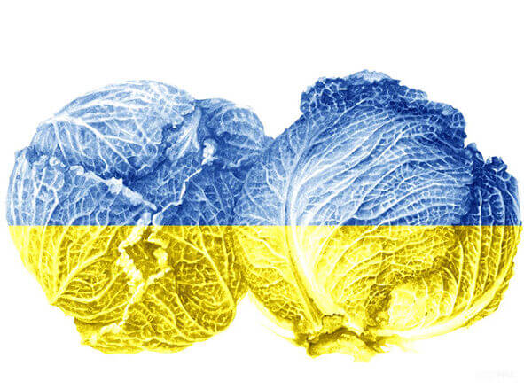 Антоніна Денисюк: «Творчість є сильною  тоді, коли вона є щирою»