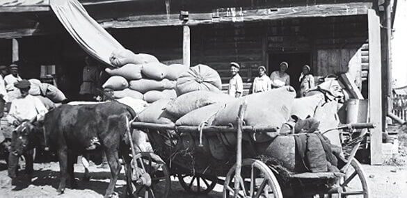 Що Геннадія Єфіменка «рве до бою»