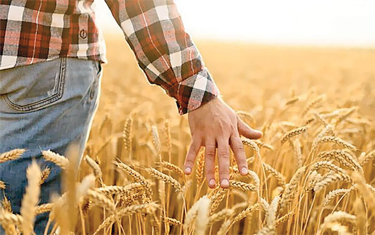 Микола Руденко:  Багатство народжується зі свободи