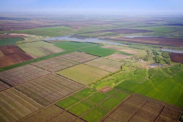 Чому та як Польща згорнула вільний продаж землі?