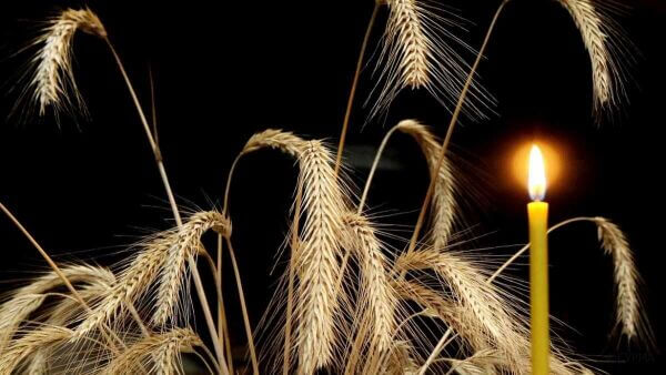 ЗВЕРНЕННЯ ДО УКРАЇНЦІВ СВІТУ,  УРЯДІВ УКРАЇНИ ТА КАНАДИ