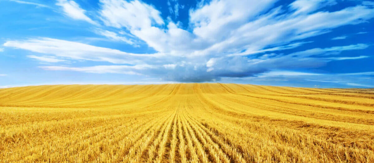 Проблеми державного самовизначення