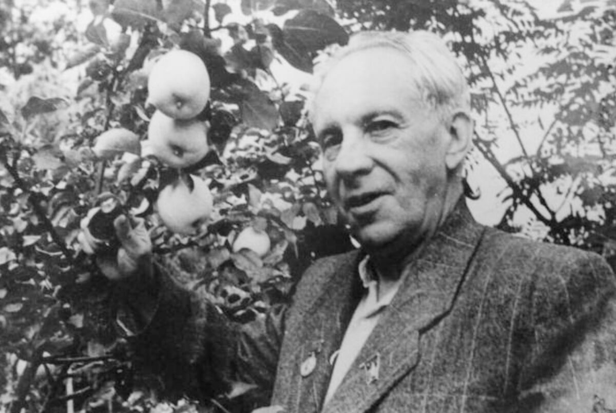 Творча осінь Максима Рильського-перекладача: «Ти знаєш край, де цитриновий цвіт…»