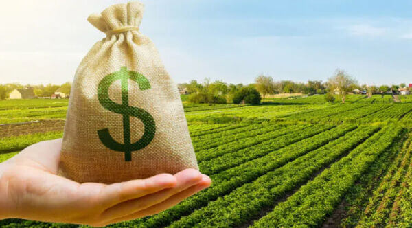 Національна безпека та майбутнє українців