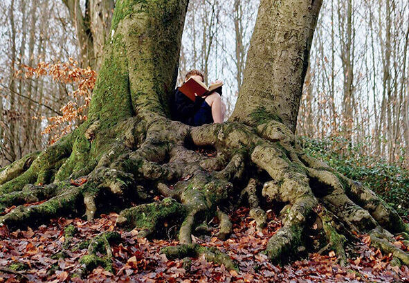 Про «вкорінення»