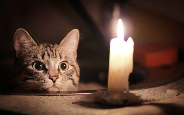 Попереджені і не готові: Україна зустрічає зиму в темряві й холоді