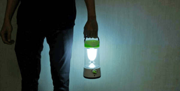 Блекаут чи геноцид?